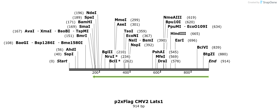 90252_map