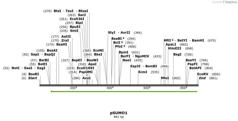 90274_map