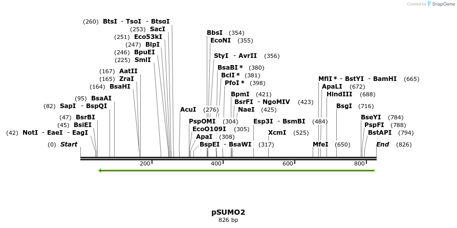 90275_map