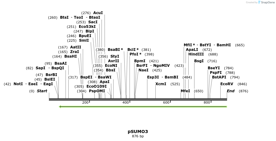 90276_map