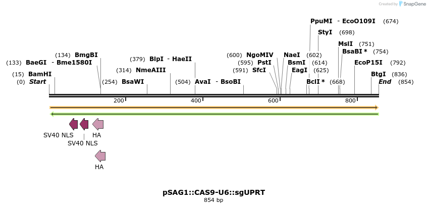 90286_map