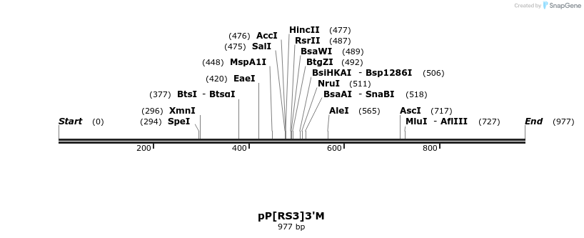 90297_map