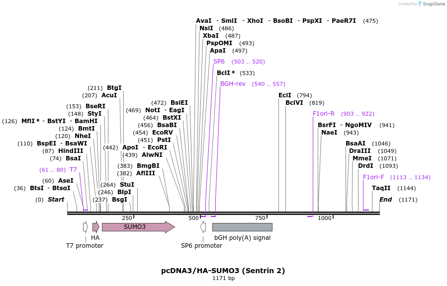 90300_map