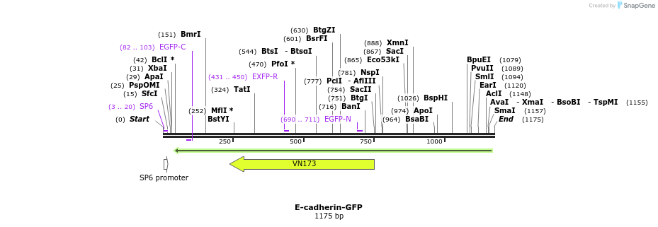 90303_map
