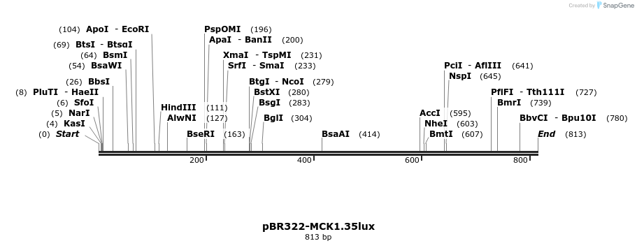 90311_map