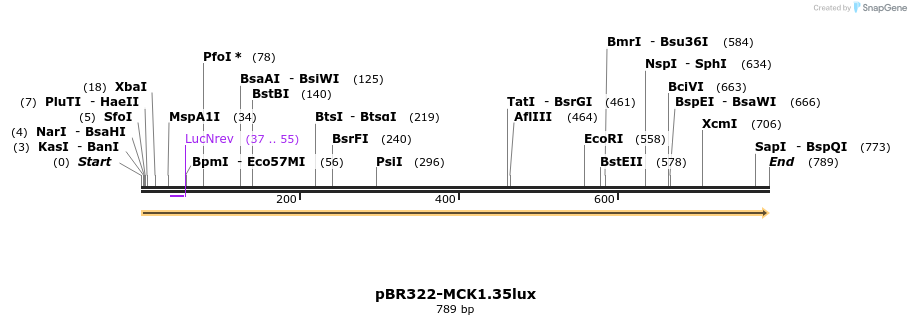 90312_map