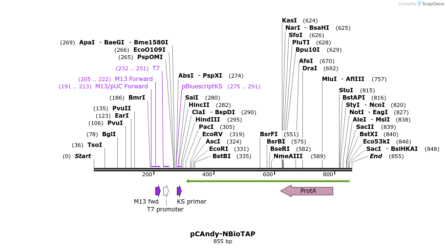 90313_map