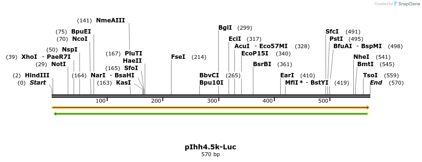 90317_map