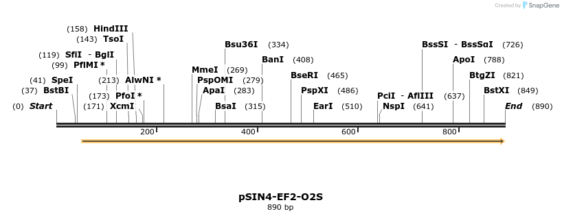 90319_map