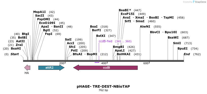 90320_map