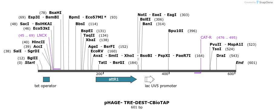 90323_map