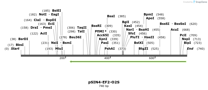 90324_map