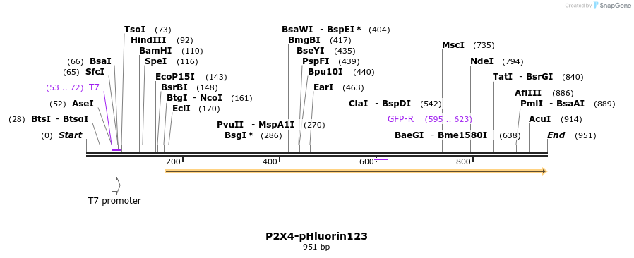 90326_map