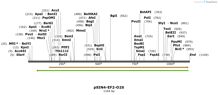 90334_map