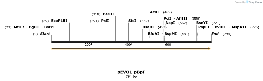 90339_map