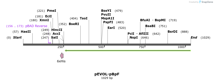 90342_map