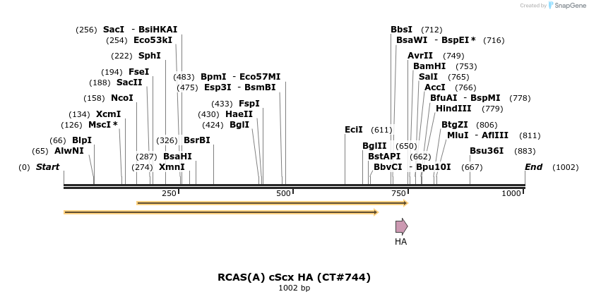 90360_map