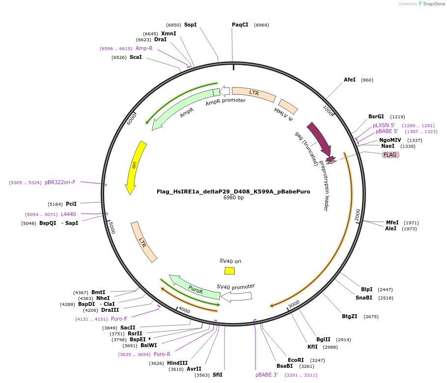 90361_map