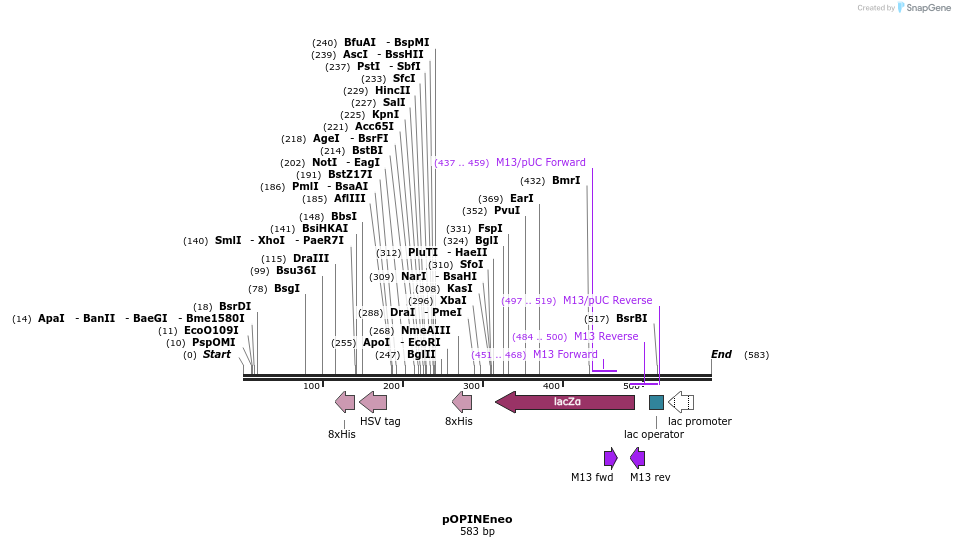 90362_map