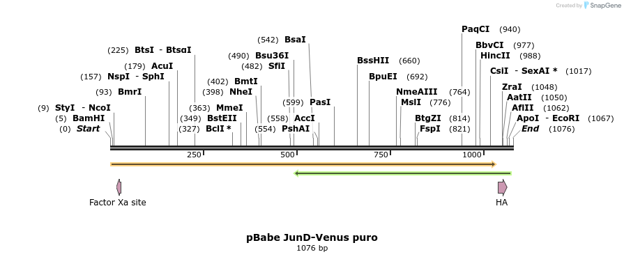 90367_map
