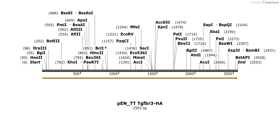 90371_map
