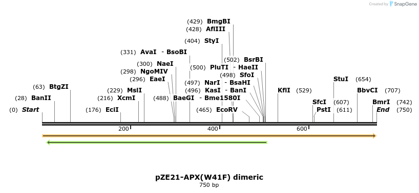 90373_map
