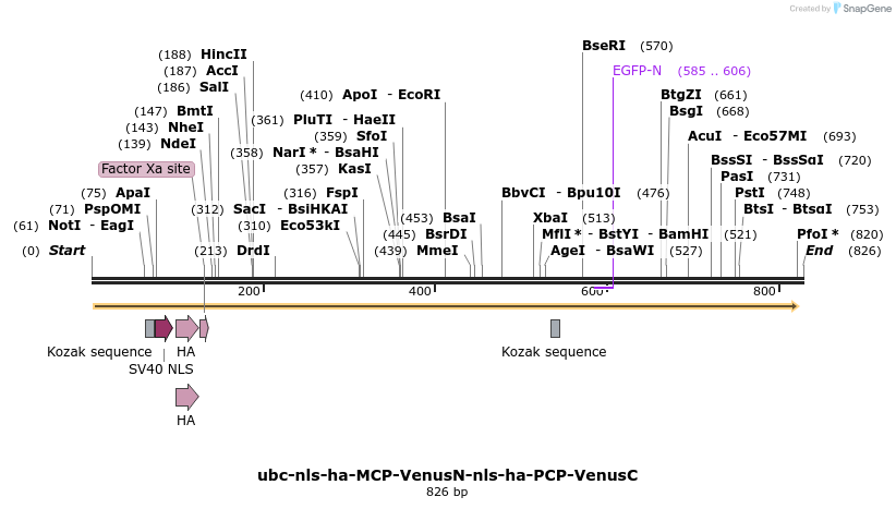 90379_map