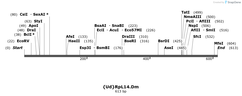 90407_map