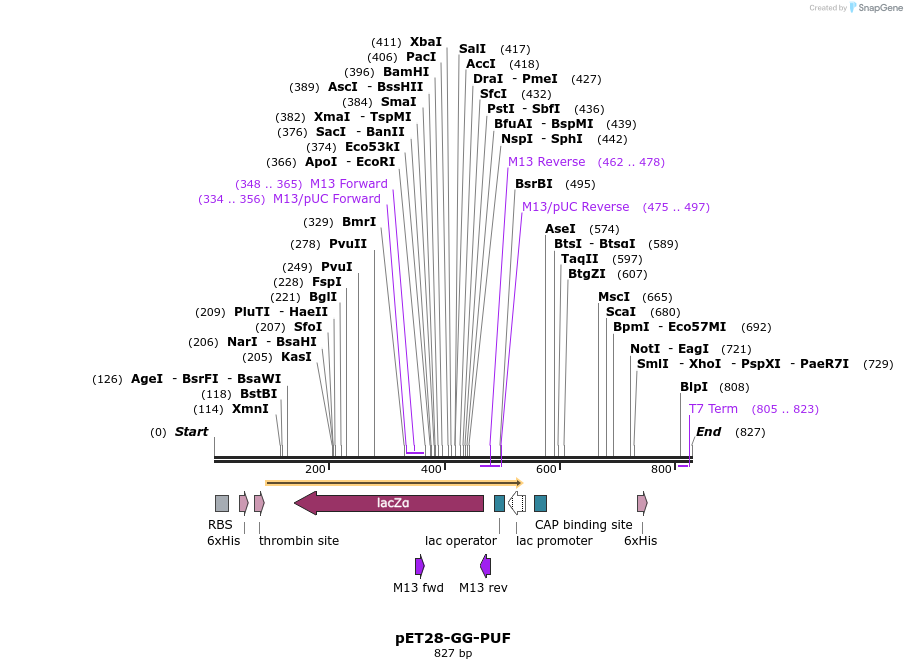 90412_map