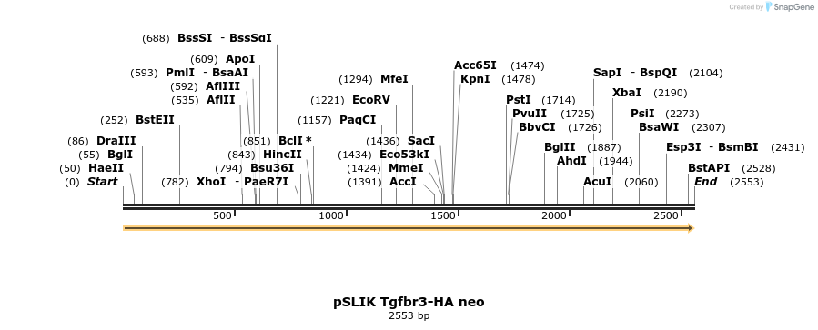 90413_map