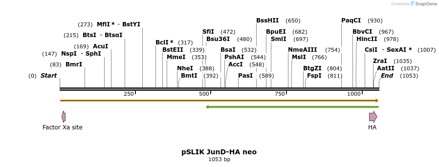 90419_map