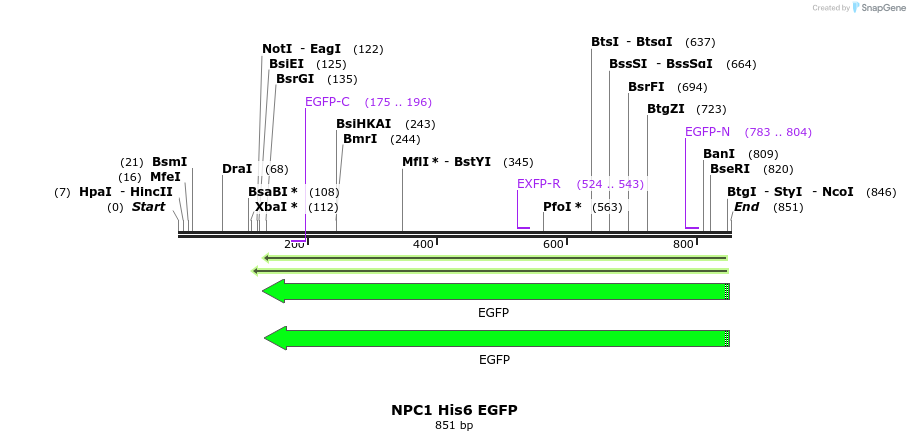 90421_map
