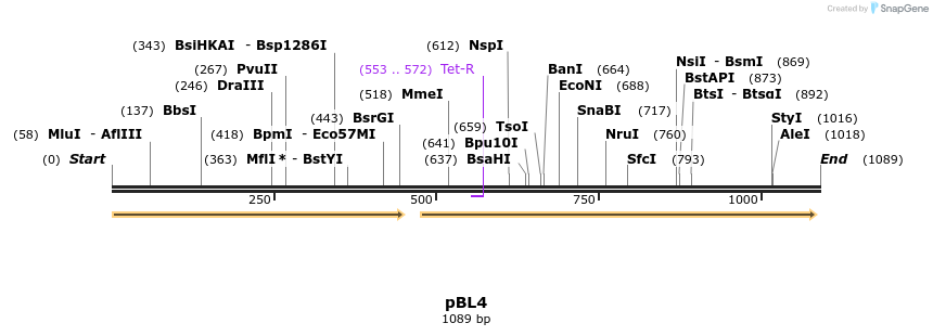 90431_map