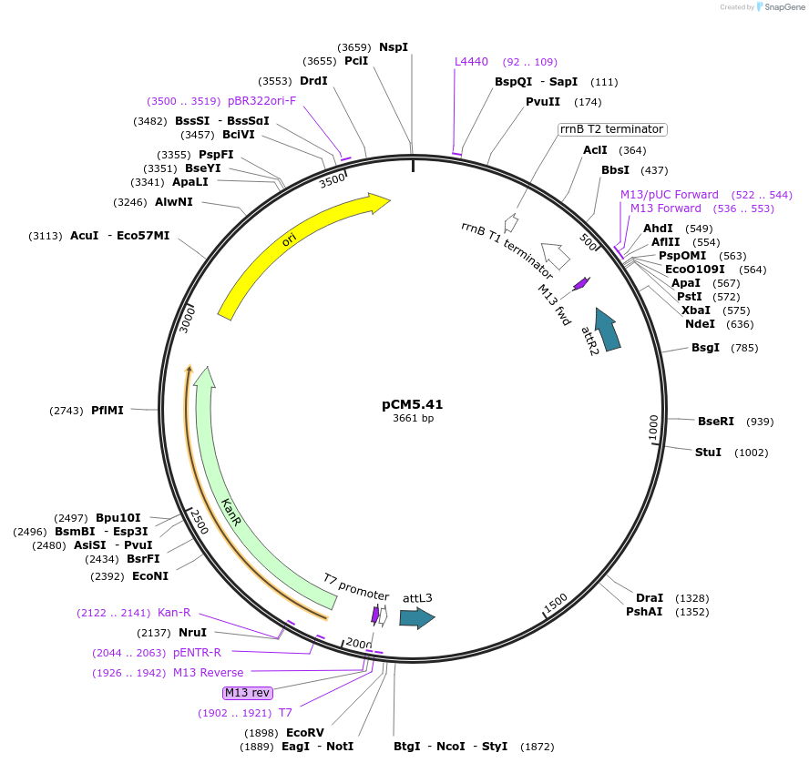 19392-plasmid-map-sequence-id-9044