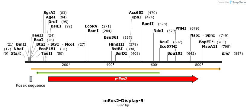 90442_map