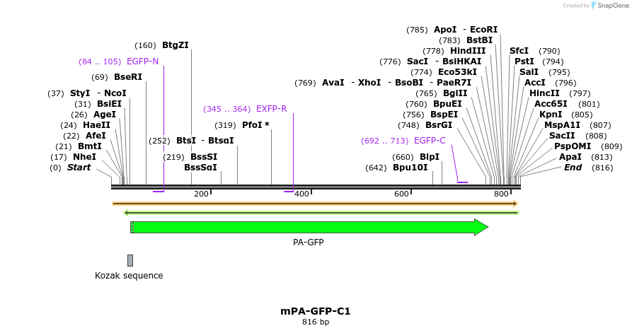 90447_map