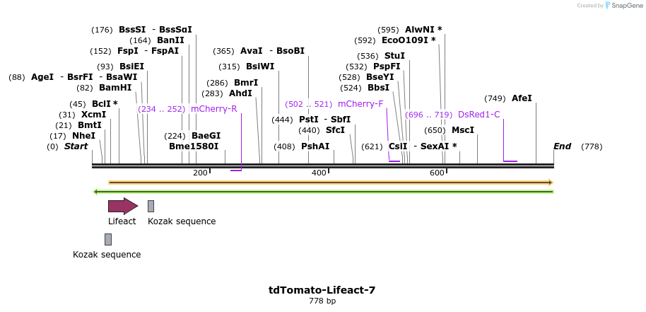 90448_map