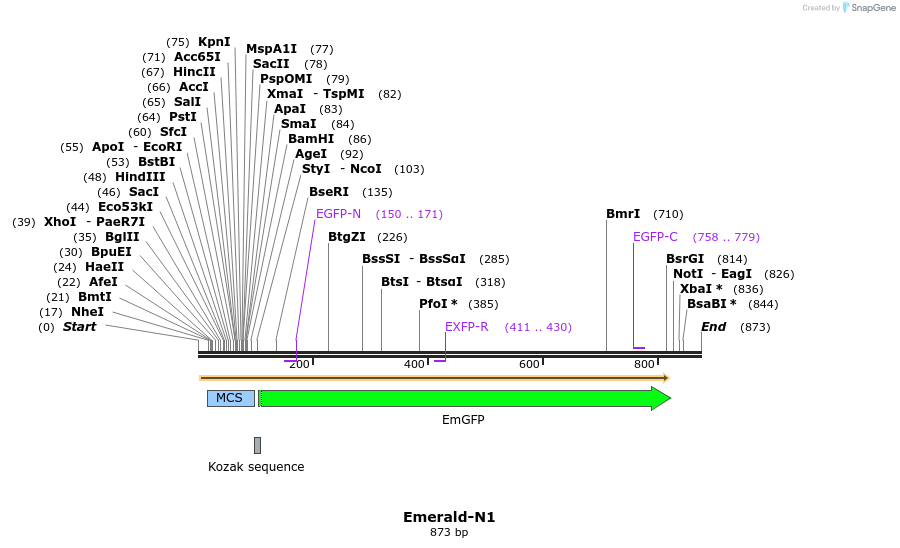 90452_map