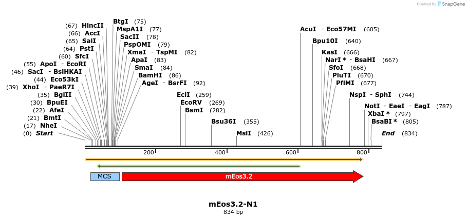 90468_map