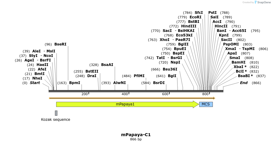 90470_map