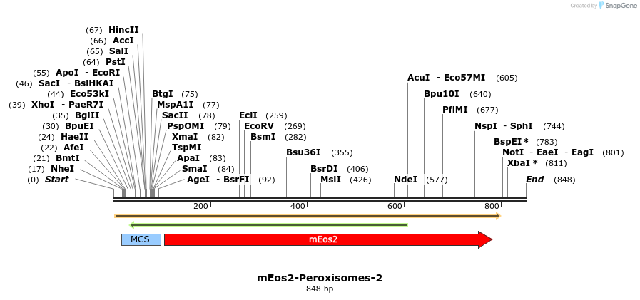 90471_map