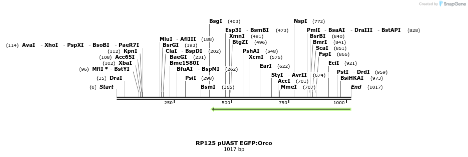 90473_map