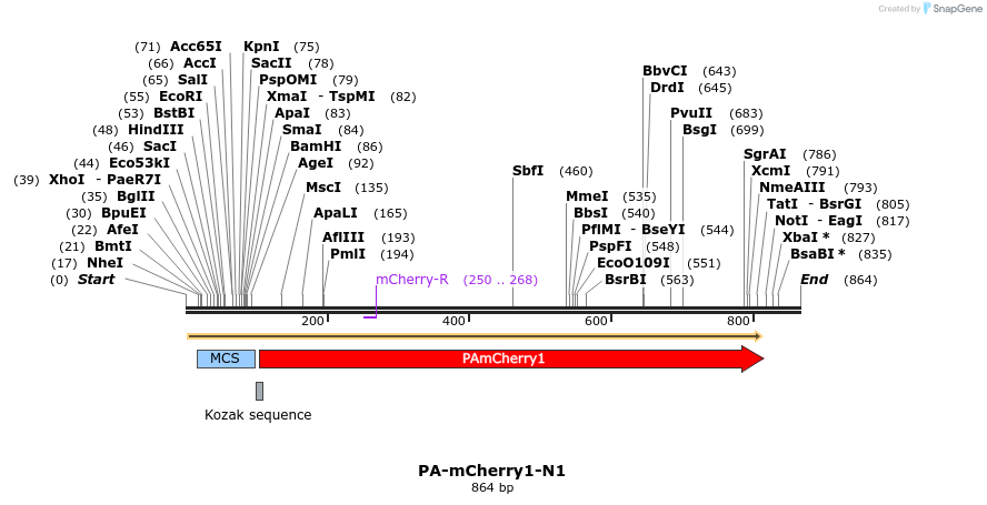 90474_map