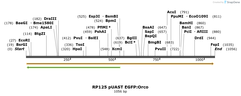 90476_map
