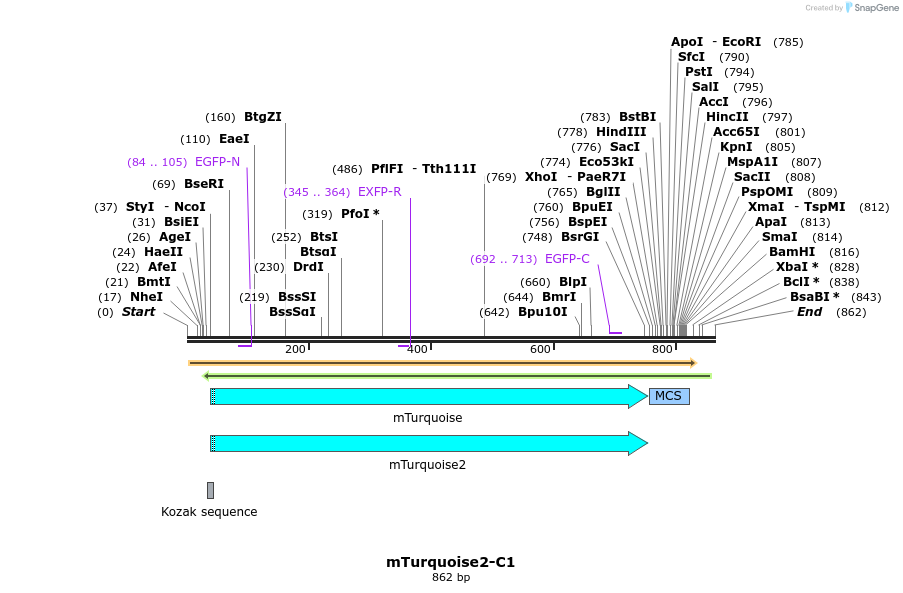 90480_map