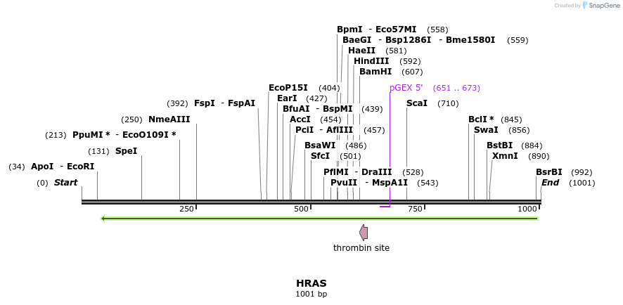 90481_map