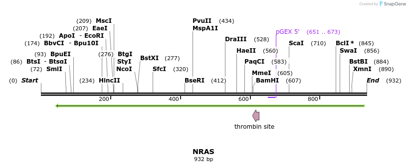 90485_map