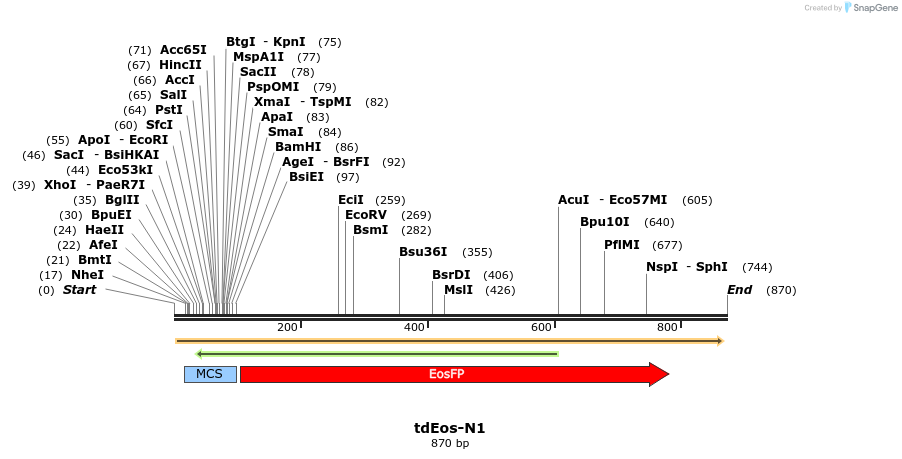 90489_map