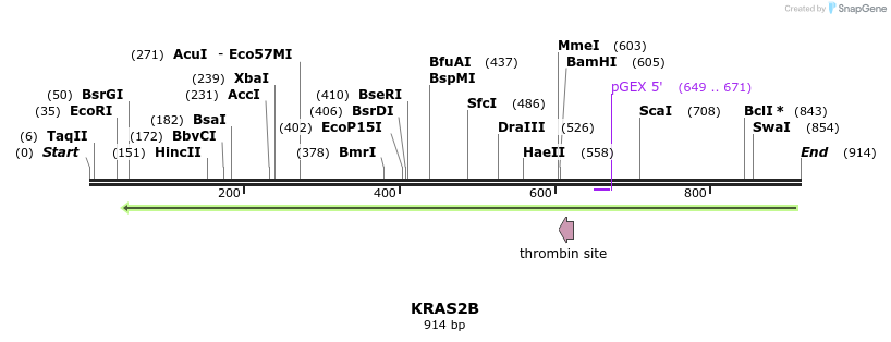 90491_map