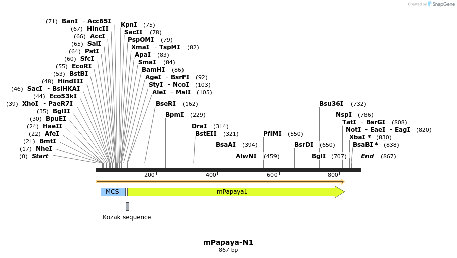 90493_map